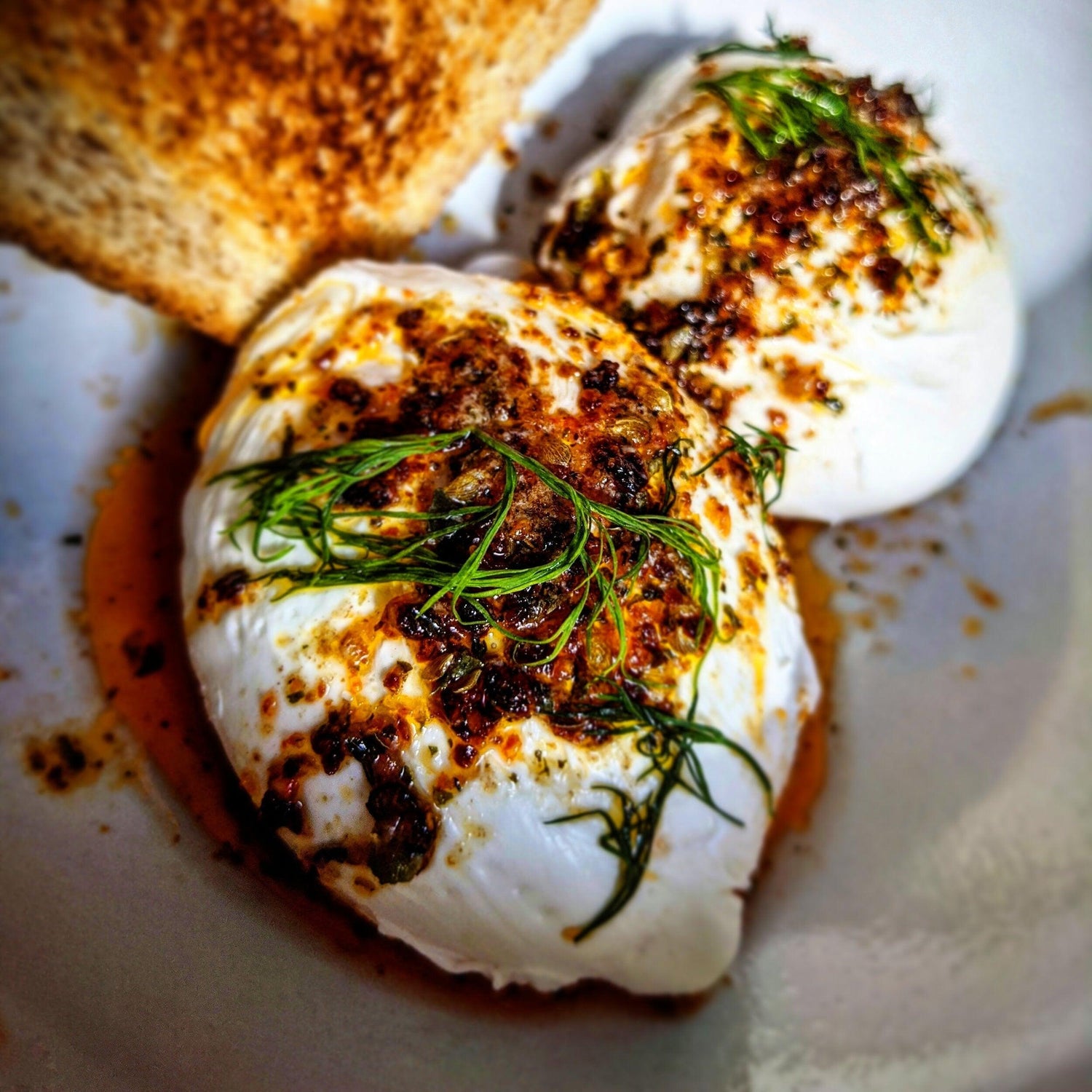 Spice Combo - Ozi Lala Levantine Kitchen